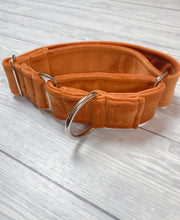 Load image into Gallery viewer, Marmalade Luxe Velvet Martingale collar