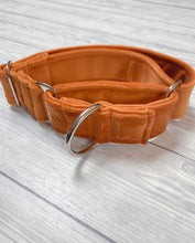 Load image into Gallery viewer, Marmalade Luxe Velvet Martingale collar