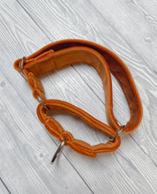 Load image into Gallery viewer, Marmalade Luxe Velvet Martingale collar
