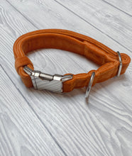 Load image into Gallery viewer, Marmalade Luxe Velvet Collar