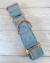Load image into Gallery viewer, Cerulean Luxe Velvet Martingale collar