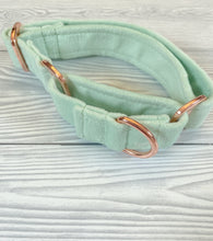 Load image into Gallery viewer, Pistachio Luxe Velvet Martingale collar