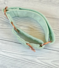 Load image into Gallery viewer, Pistachio Luxe Velvet Martingale collar