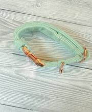Load image into Gallery viewer, Pistachio Luxe Velvet Collar