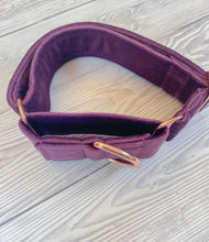 Load image into Gallery viewer, Plum Luxe Velvet Martingale collar