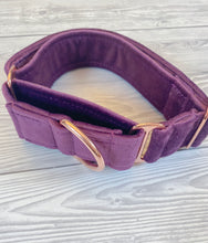 Load image into Gallery viewer, Plum Luxe Velvet Martingale collar