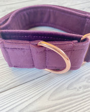Load image into Gallery viewer, Plum Luxe Velvet Martingale collar