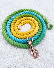 Load image into Gallery viewer, 4ft long 12mm Yellow, Blue and Green multicolour Ombre Hand Dyed Rope Lead
