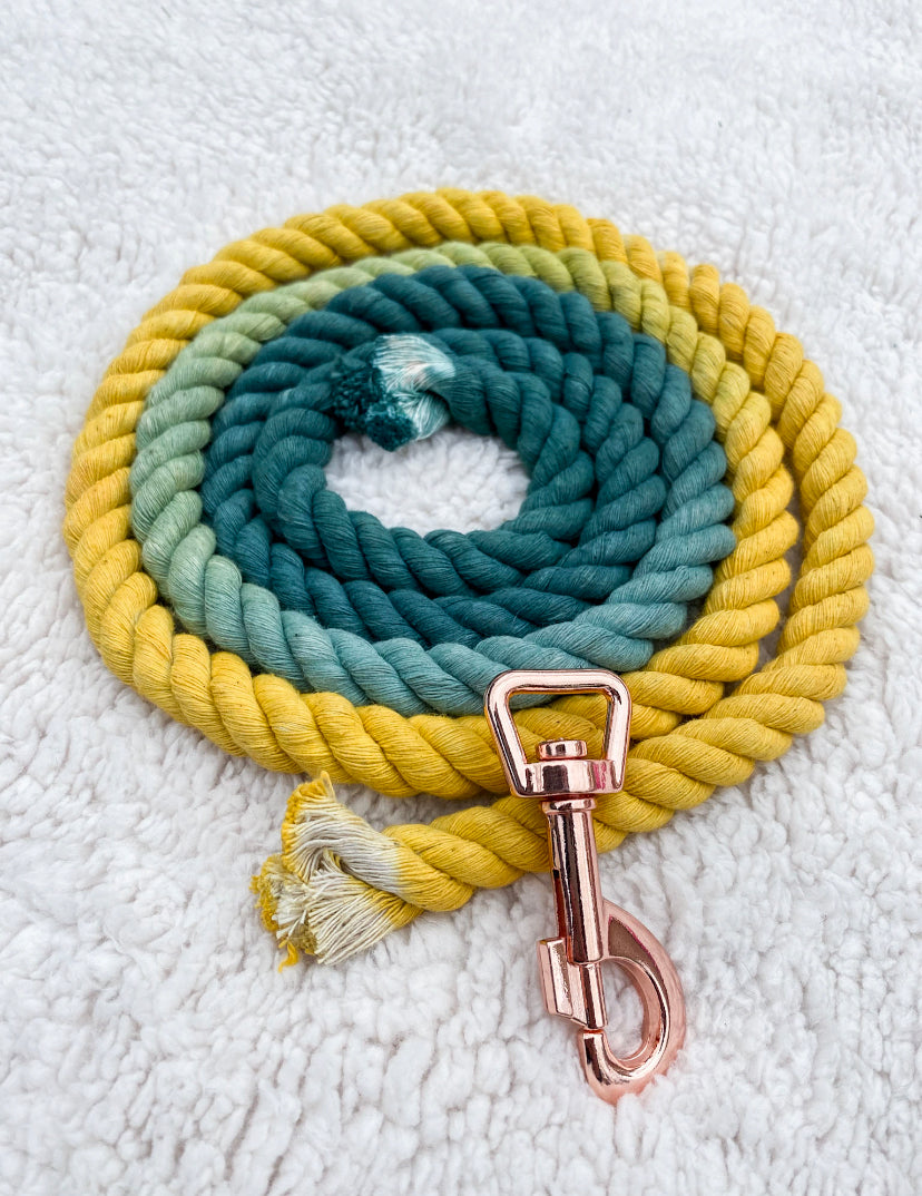 4ft long 12mm Green to Yellow Hand Ombre Dyed Rope Lead