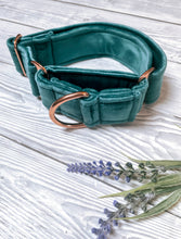 Load image into Gallery viewer, Teal Luxe Velvet Martingale collar
