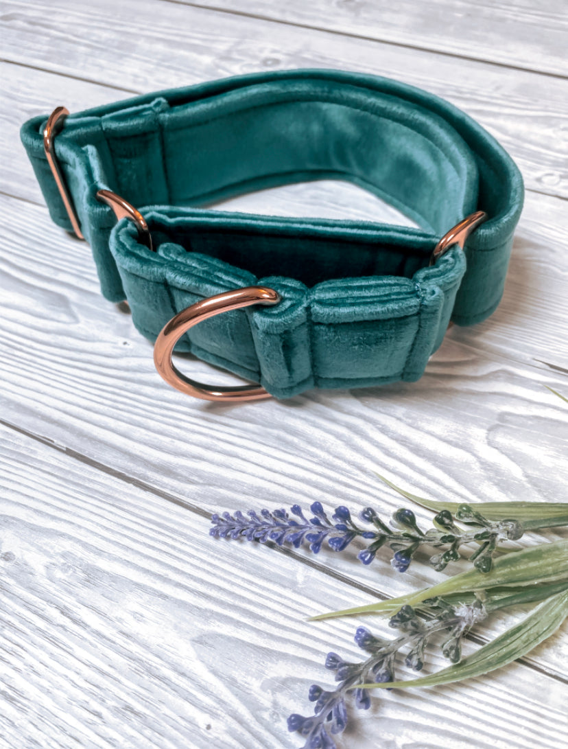 Teal Luxe Velvet Martingale collar