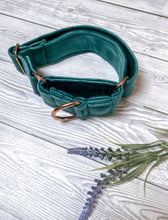 Load image into Gallery viewer, Teal Luxe Velvet Martingale collar
