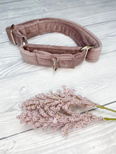 Load image into Gallery viewer, Blush Luxe Velvet Martingale collar
