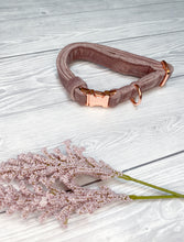 Load image into Gallery viewer, Blush Luxe Velvet Collar
