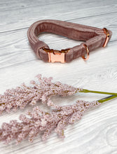 Load image into Gallery viewer, Blush Luxe Velvet Collar
