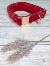 Load image into Gallery viewer, Red Luxe Velvet Collar
