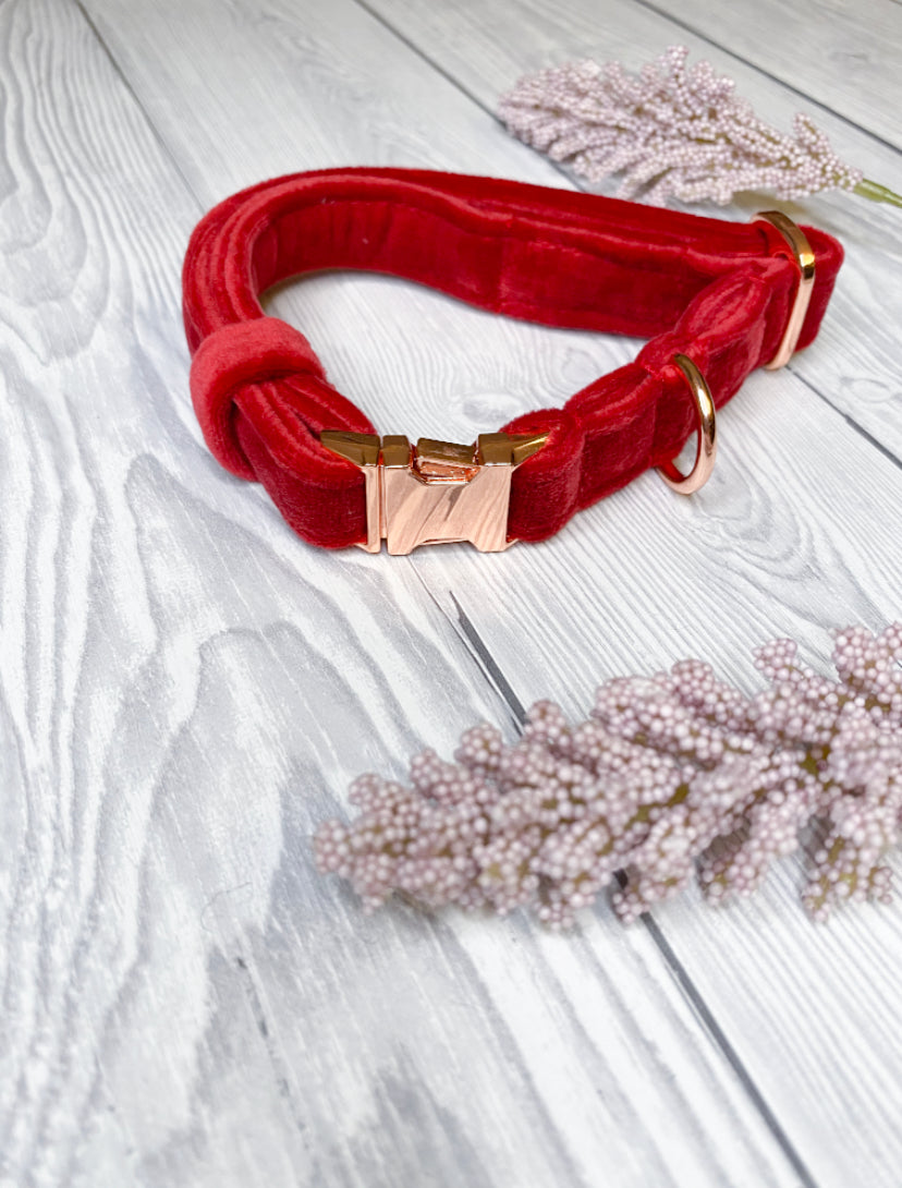 Red Luxe Velvet Collar