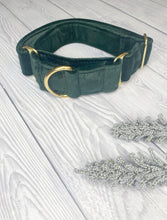 Load image into Gallery viewer, Green Luxe Velvet Martingale collar
