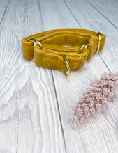 Load image into Gallery viewer, Mustard Luxe Velvet Martingale collar
