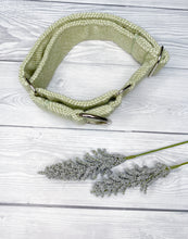 Load image into Gallery viewer, Gooseberry Tweed Martingale collar
