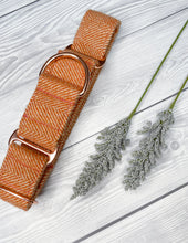 Load image into Gallery viewer, Clementine Tweed Martingale collar
