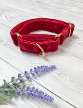 Load image into Gallery viewer, Red Luxe Velvet Martingale collar
