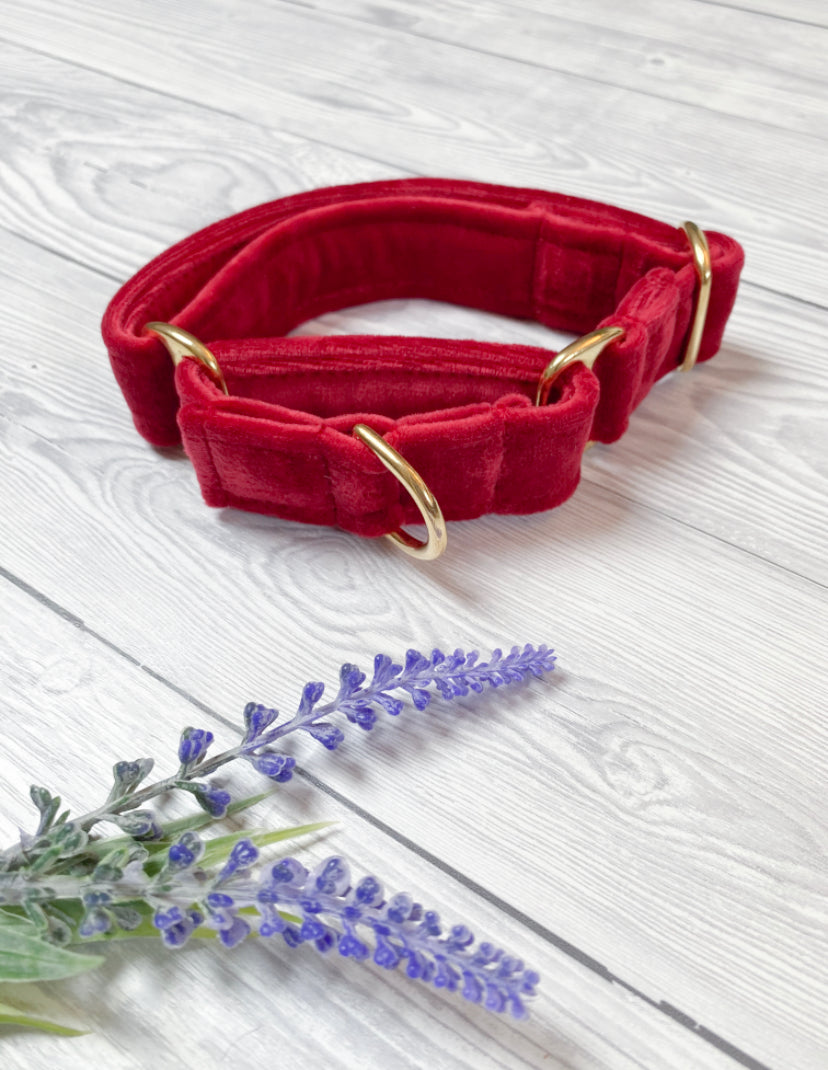 Red Luxe Velvet Martingale collar