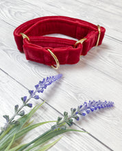 Load image into Gallery viewer, Red Luxe Velvet Martingale collar
