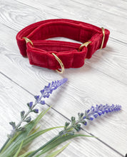 Load image into Gallery viewer, Red Luxe Velvet Martingale collar
