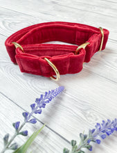 Load image into Gallery viewer, Red Luxe Velvet Martingale collar
