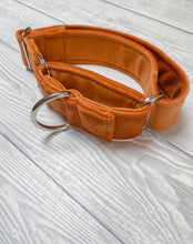 Load image into Gallery viewer, Marmalade Luxe Velvet Martingale collar
