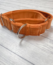 Load image into Gallery viewer, Marmalade Luxe Velvet Martingale collar
