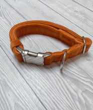 Load image into Gallery viewer, Marmalade Luxe Velvet Collar
