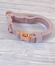 Load image into Gallery viewer, Pastel Pink Luxe Velvet Collar
