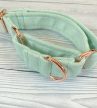 Load image into Gallery viewer, Pistachio Luxe Velvet Martingale collar
