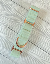 Load image into Gallery viewer, Pistachio Luxe Velvet Martingale collar
