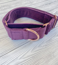 Load image into Gallery viewer, Plum Luxe Velvet Martingale collar
